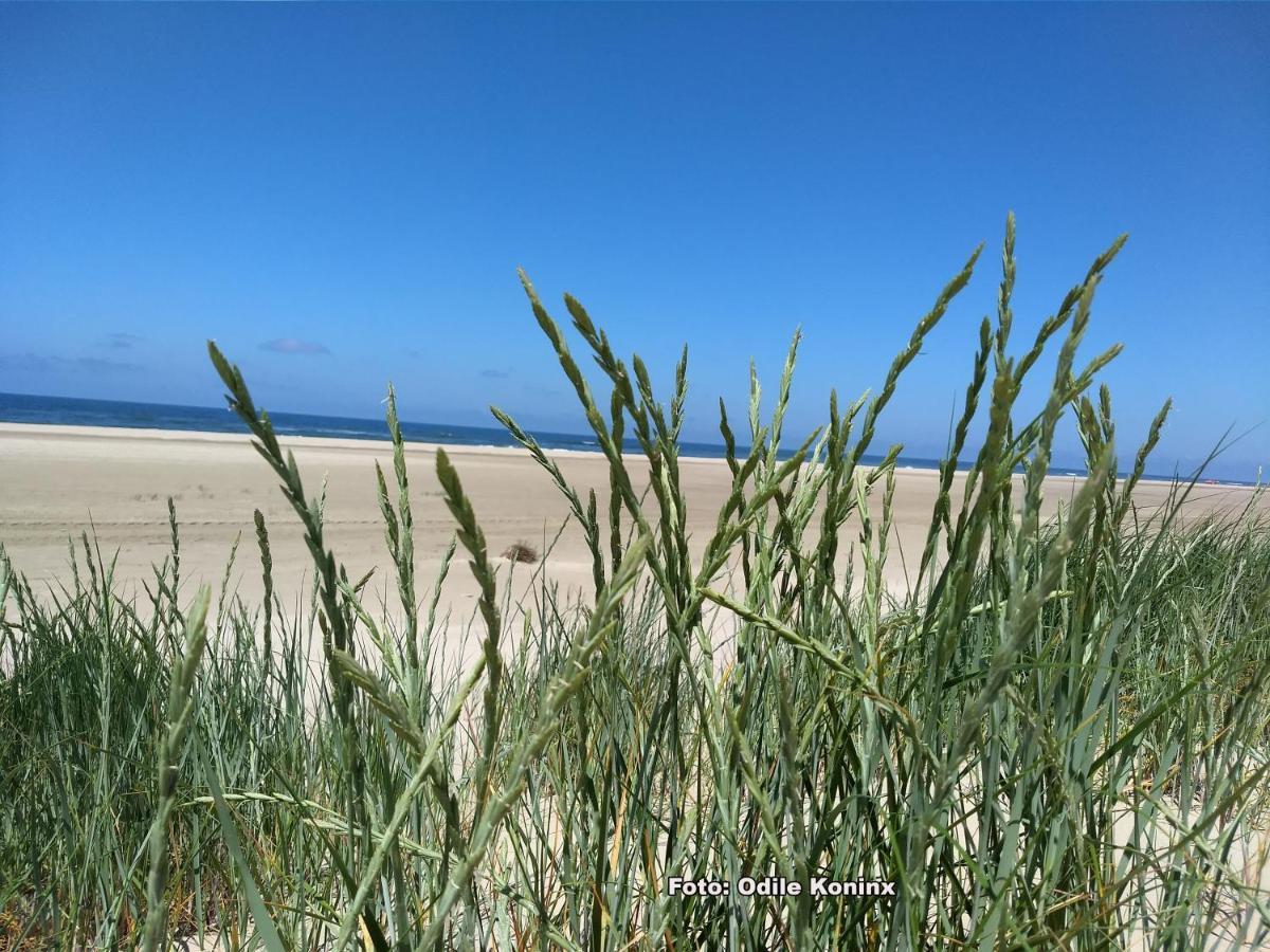 Klein Heemshof - Noord Holland Aan Uw Voeten Warmenhuizen Exterior foto
